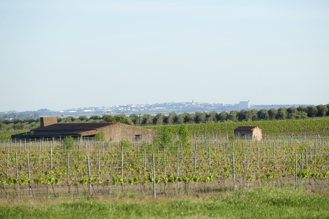 Finca in Cuba, Beja District, Portugal 1 - 17541603