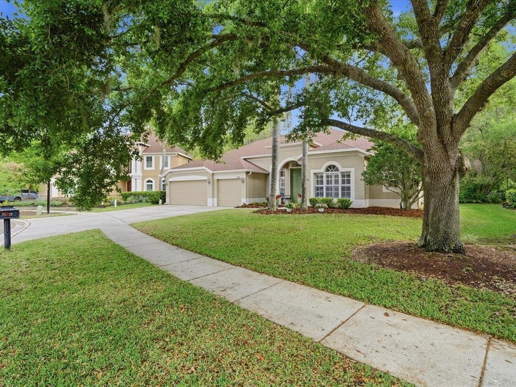 House in Land O' Lakes, Florida, United States 3 - 17538860