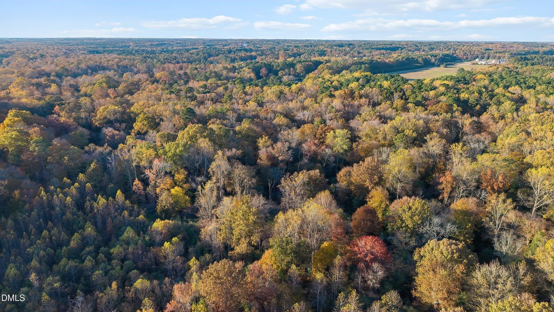 Maison à Raleigh, Caroline du Nord, États-Unis 4 - 17543010