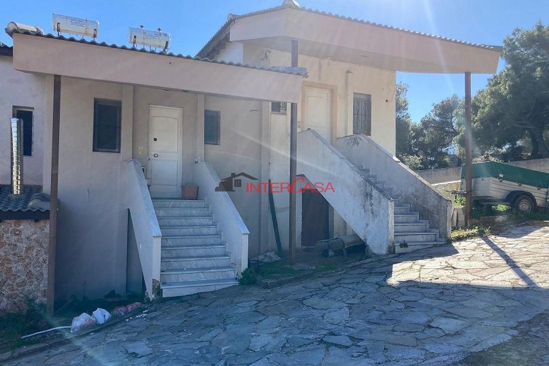 Markopoulo Mesogaias, Attica, Greece 4 - 17541919