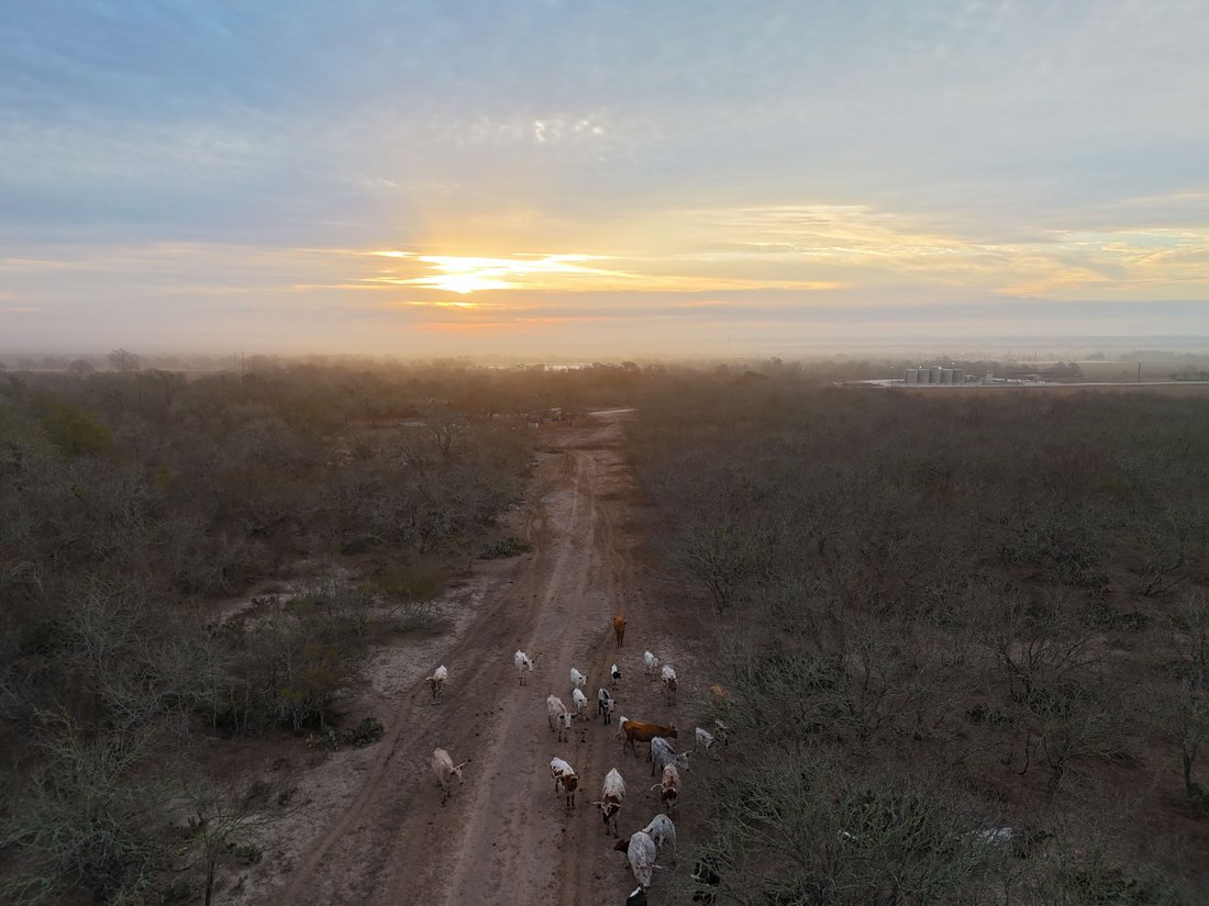 Farm Ranch in Gillett, Texas, United States 2 - 17539230