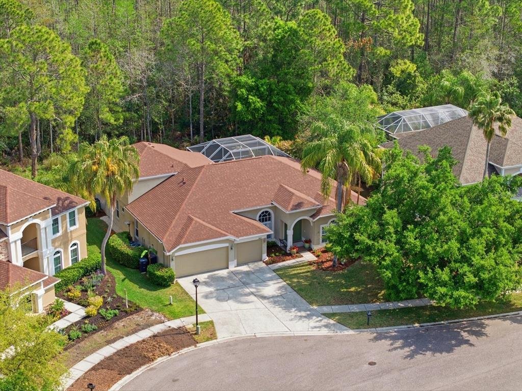 House in Land O' Lakes, Florida, United States 2 - 17538860