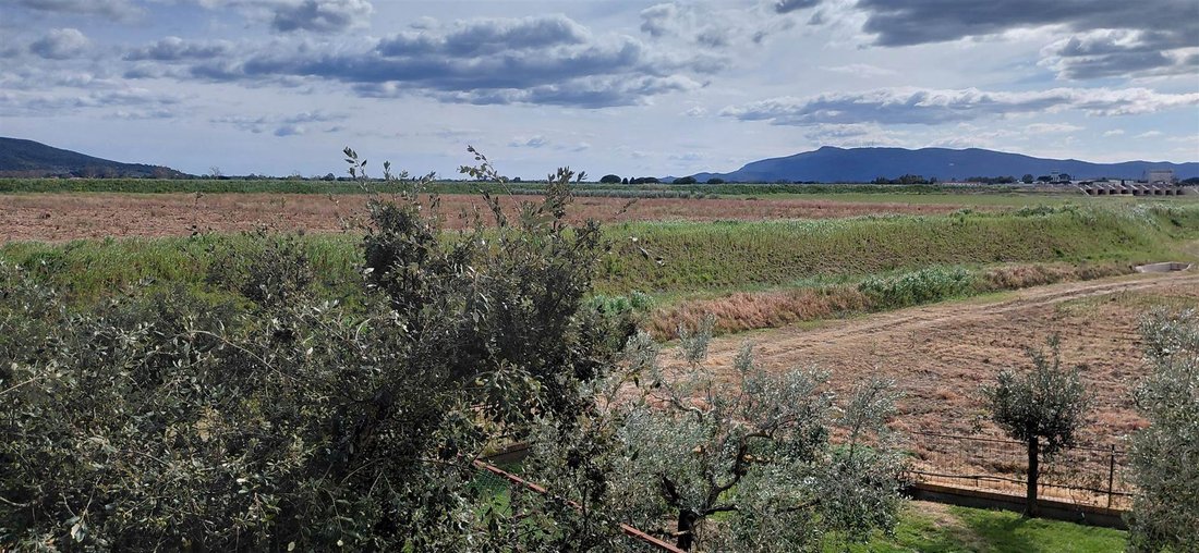 Andere in San Donato - Polverosa, Orbetello, Toskana 5 - 17544386