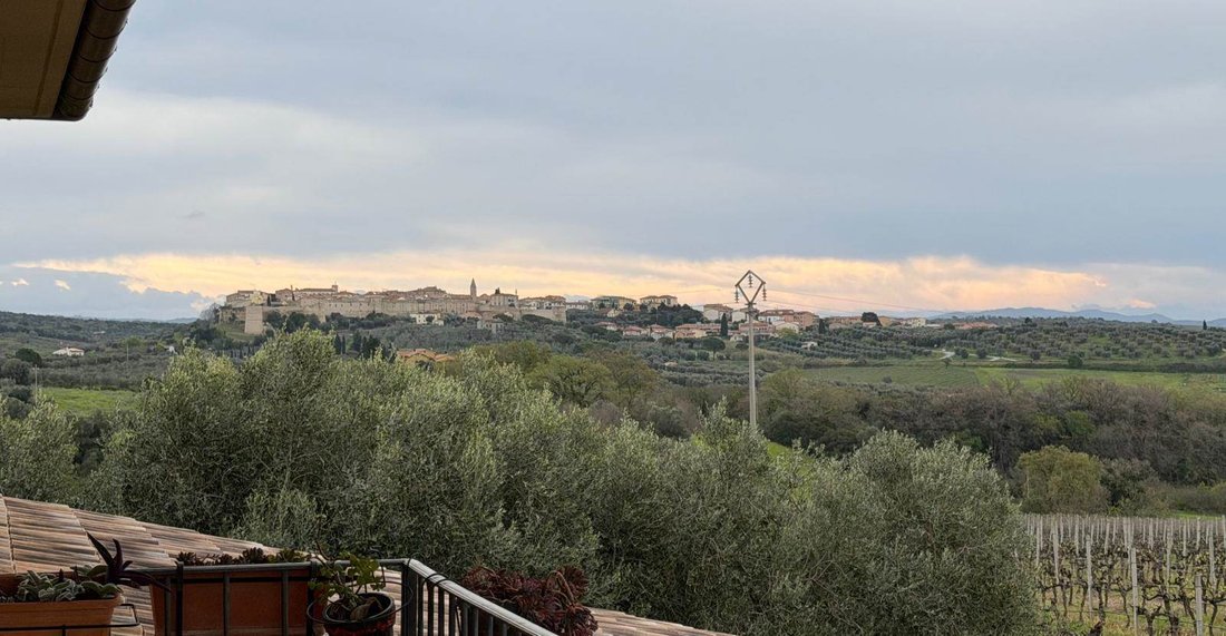 Country House in Magliano in Toscana, Tuscany, Italy 1 - 17544374