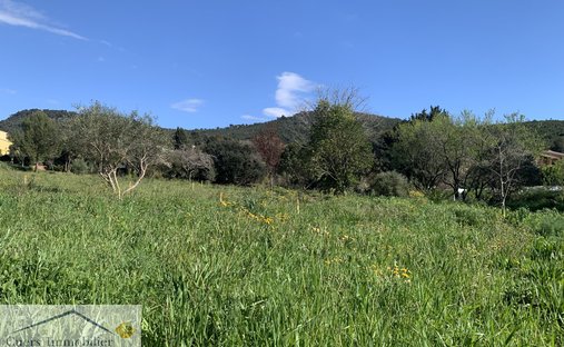 Land in Sud, Le Pradet, France 1