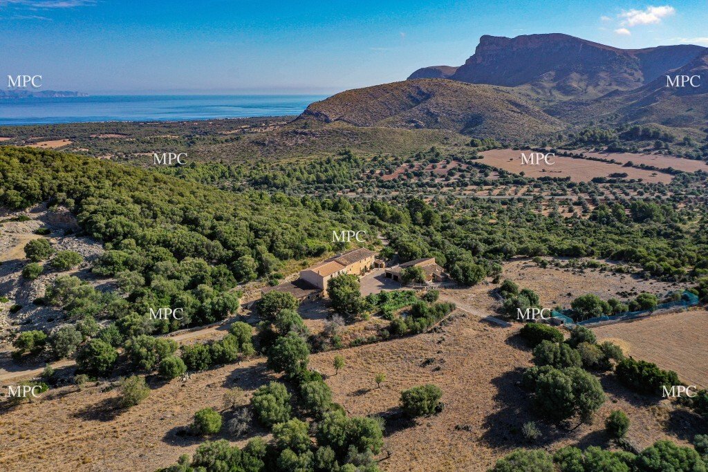 House in Arta, Balearic Islands, Spain 1 - 12268546