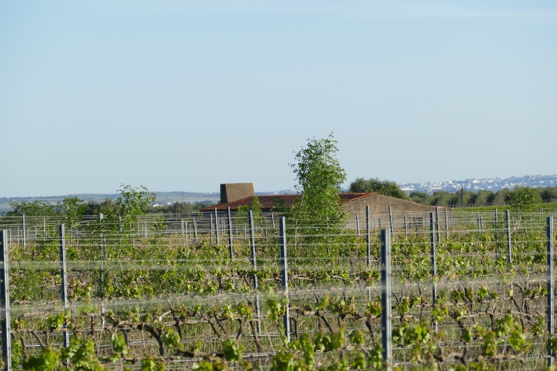 Finca in Cuba, Beja District, Portugal 4 - 17541603