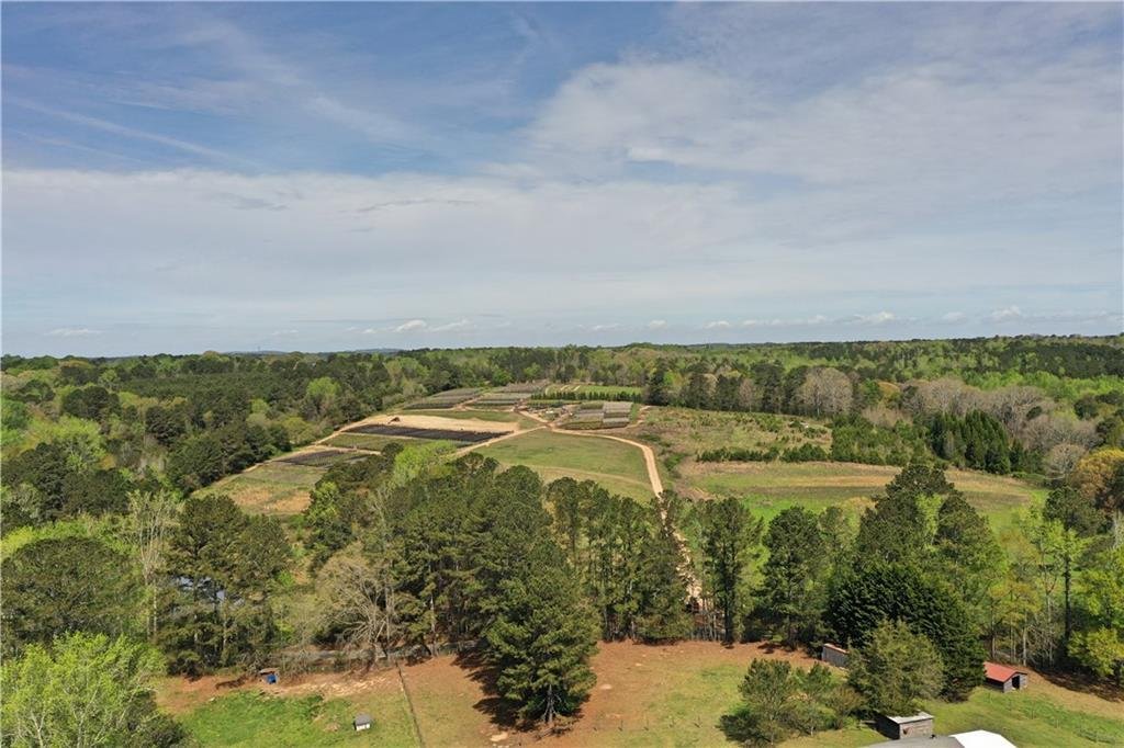 Land in Loganville, Georgia, United States 4 - 17533580