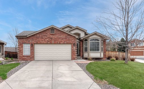 House in Lone Tree, Colorado, United States 1