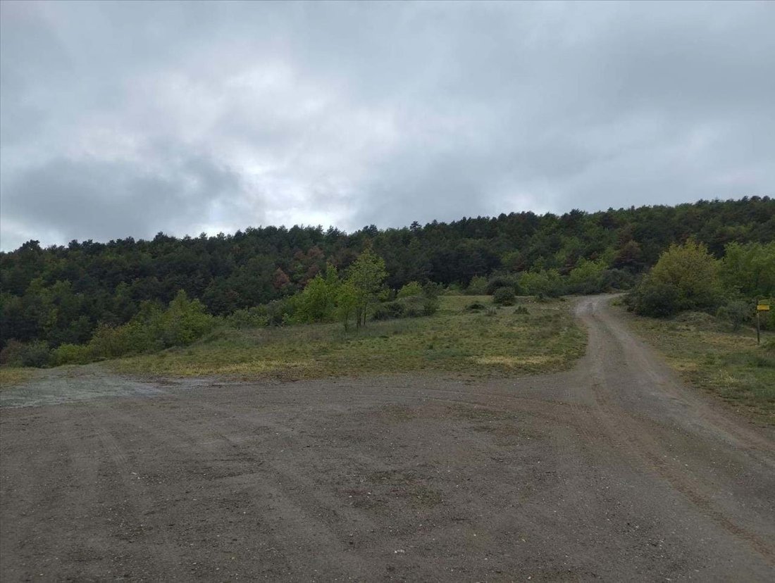 Land in Montferrer i Castellbo, Catalonia, Spain 4 - 16866965