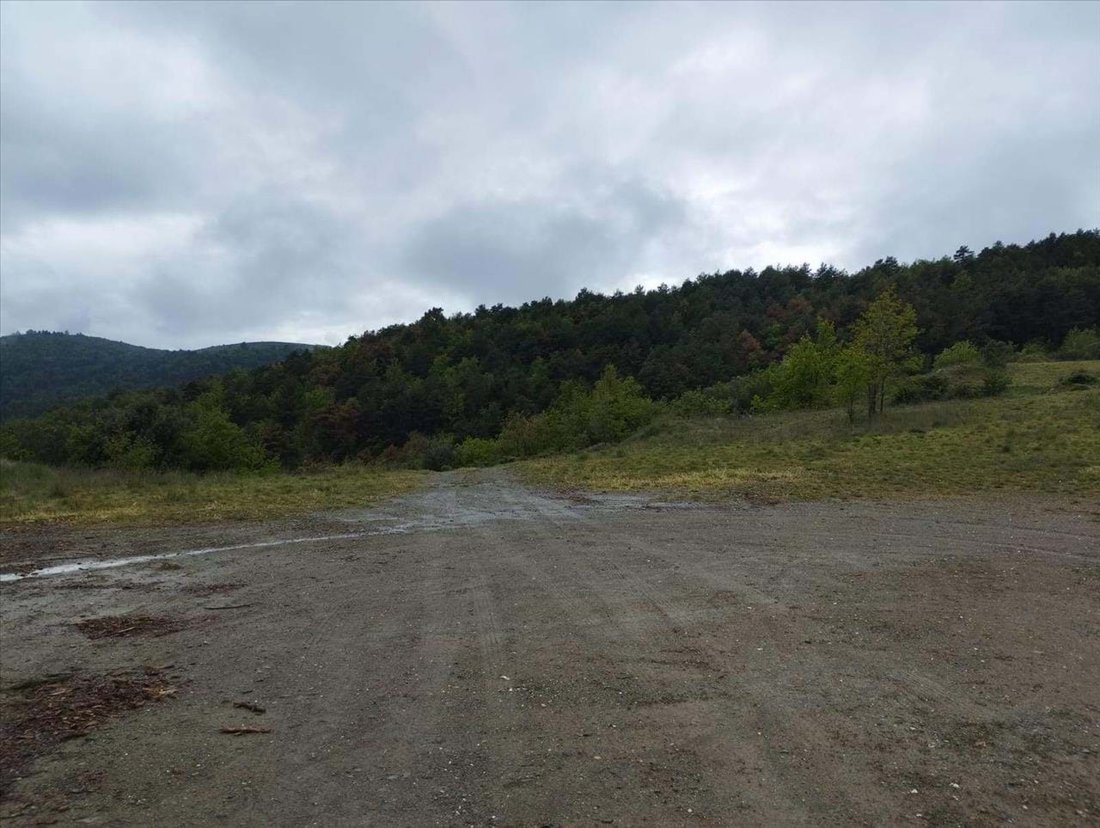 Land in Montferrer i Castellbo, Catalonia, Spain 5 - 16866965
