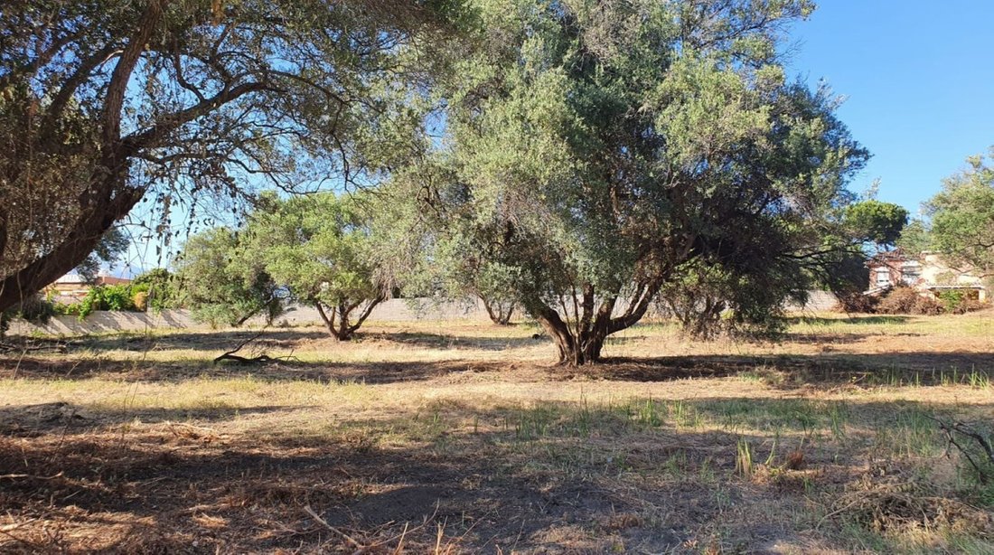 Land in San Pedro de Alcántara, Andalusien, Spanien 1 - 16505829