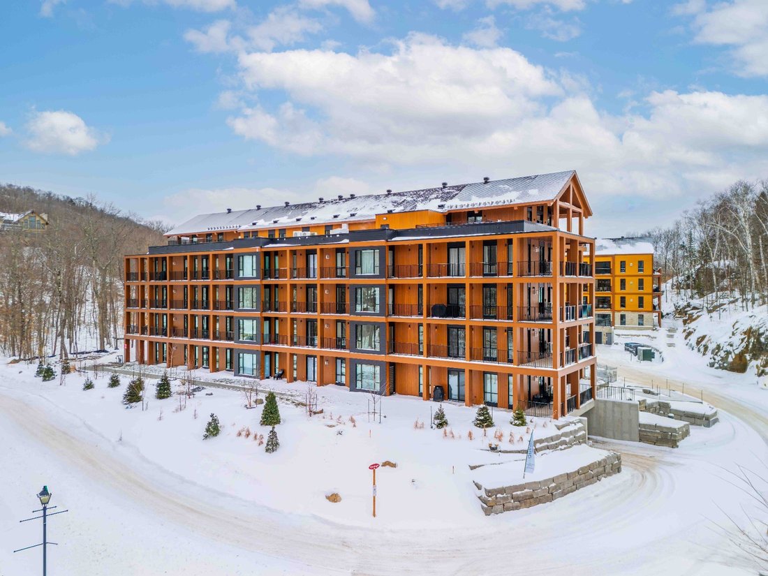 Condo in Lac-Supérieur, Quebec, Canada 1 - 16493064