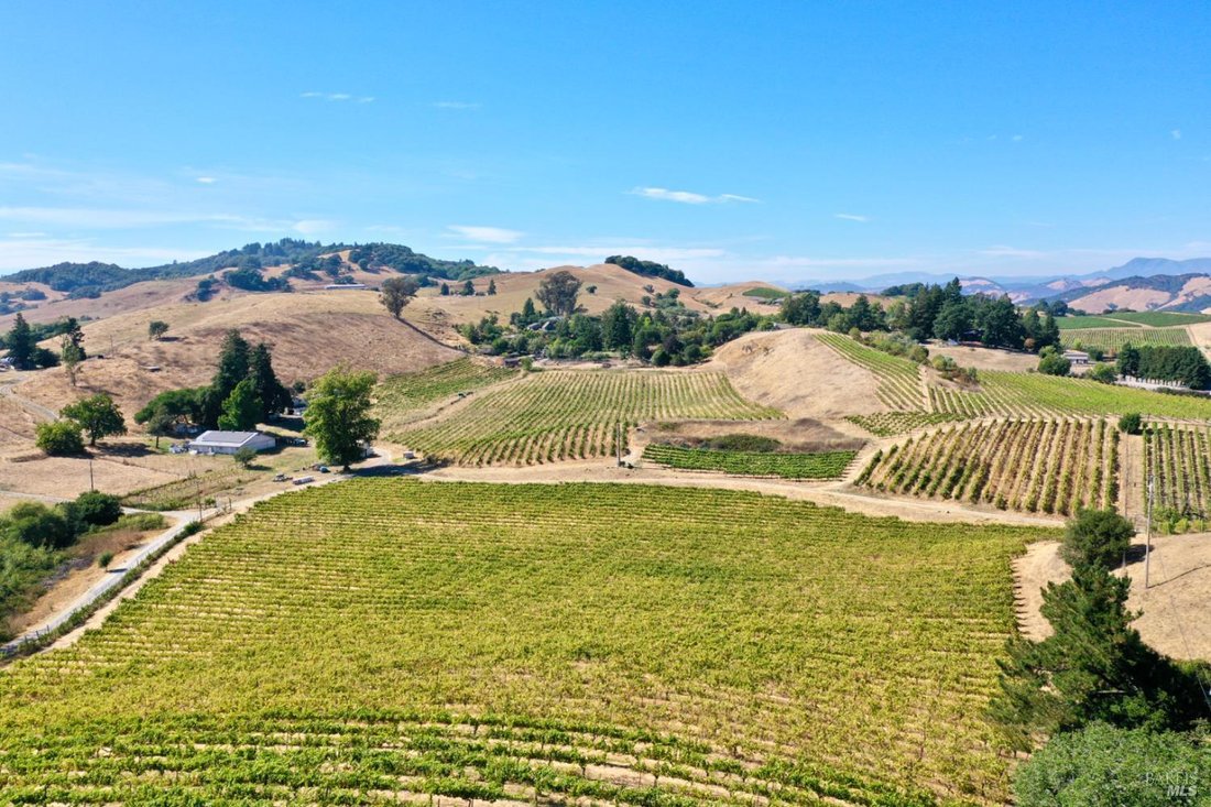 House in Santa Rosa, California, United States 3 - 17540794