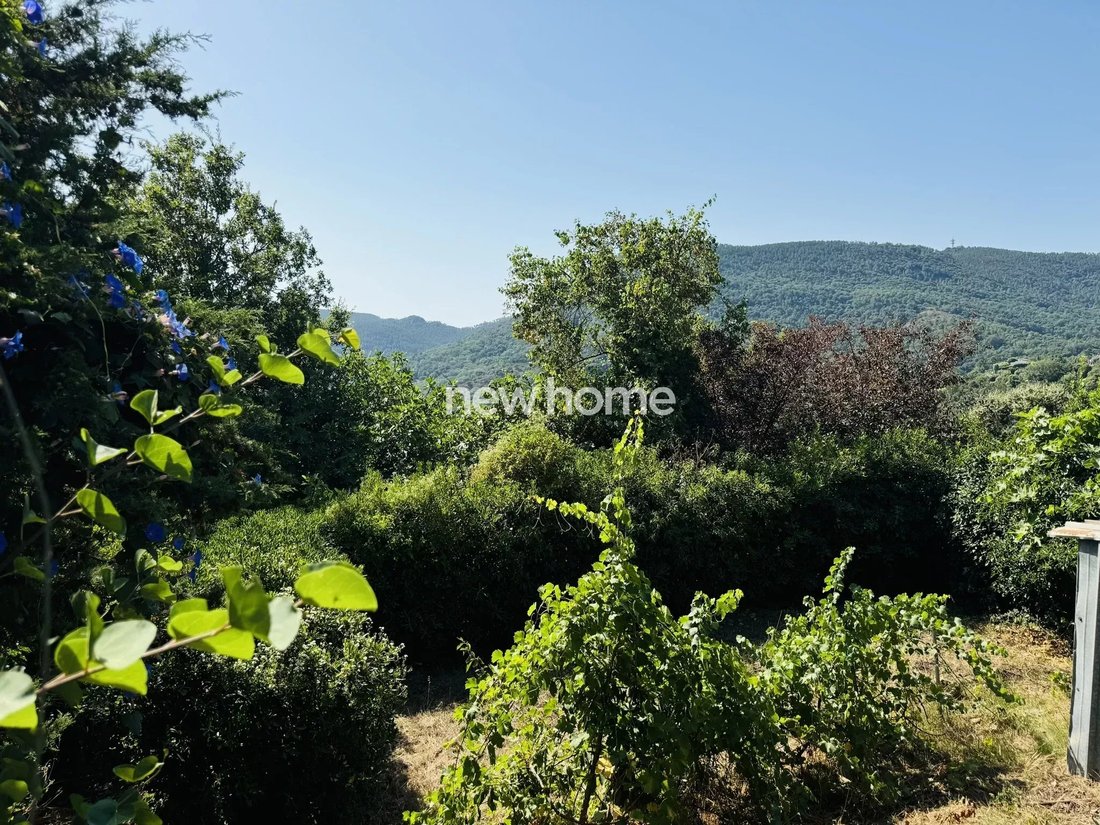 House in Les Adrets-de-l'Estérel, Provence-Alpes-Côte d'Azur, France 2 - 17505383