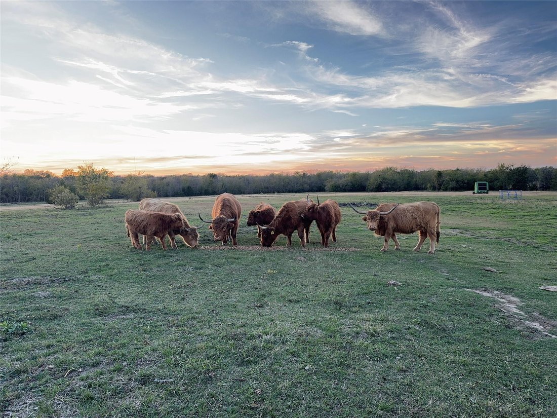 House in Campbell, Texas, United States 1 - 17540156