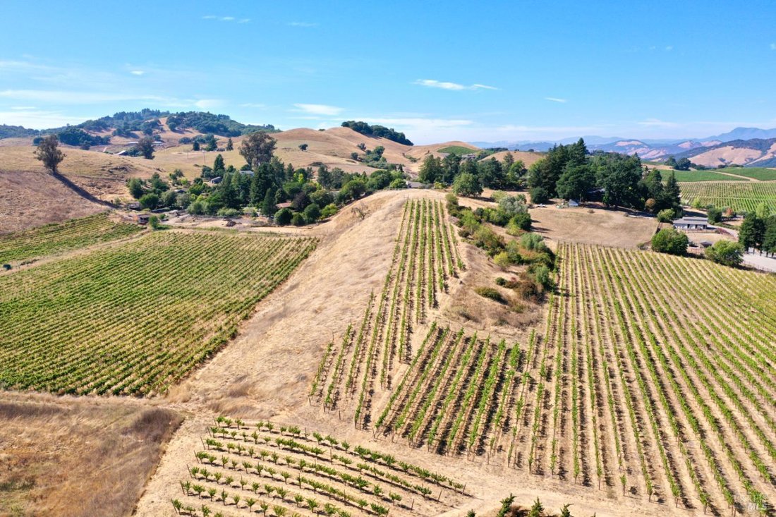 House in Santa Rosa, California, United States 5 - 17540794