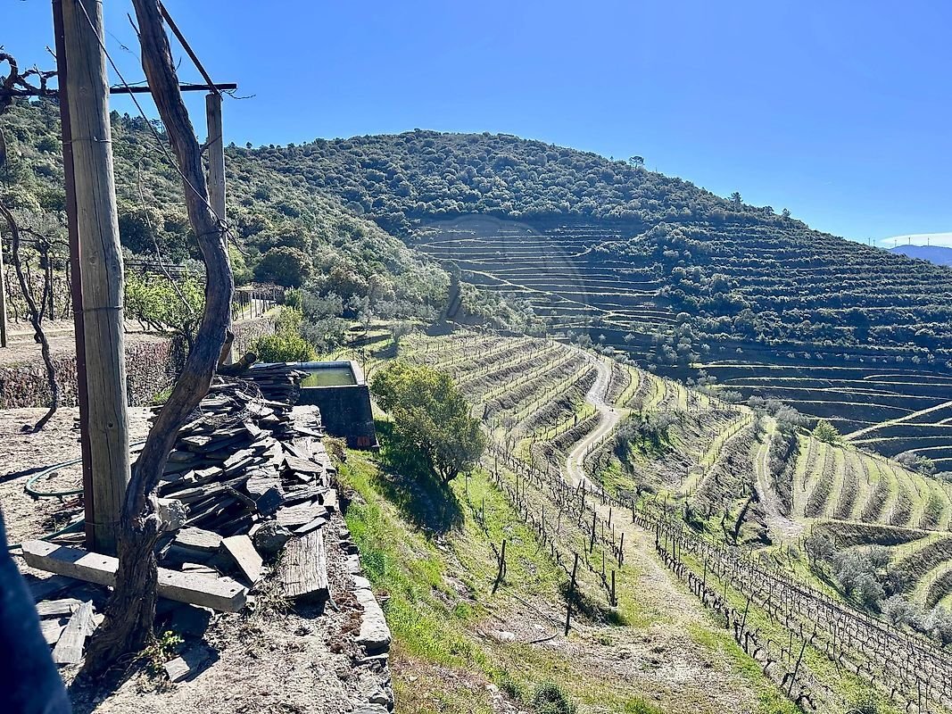 Finca in Poiares e Canelas, Vila Real District, Portugal 1 - 17240970
