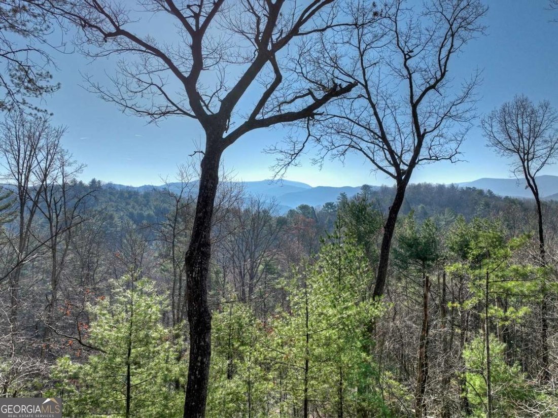 Blue Ridge, Georgia, United States 4 - 17542002