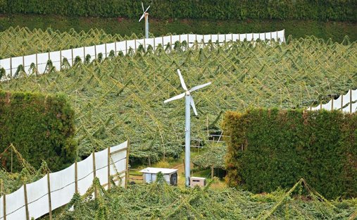 Azienda agricola a Waihi, Waikato, Nuova Zelanda 1