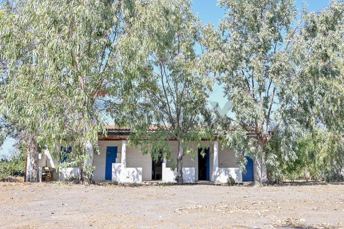 Land in Insel Vulcano, Sizilien, Italien 5 - 17545206