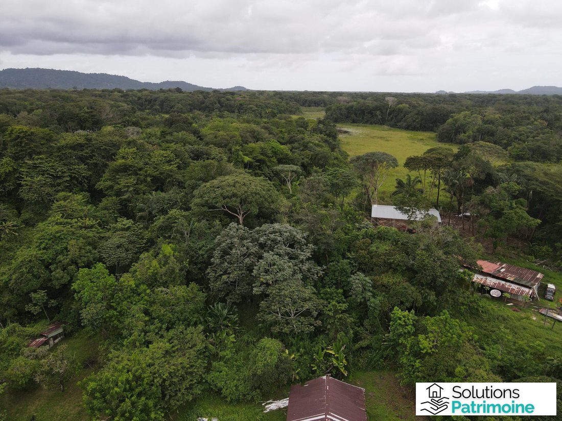 Land in Matoury, Arrondissement of Cayenne, French Guiana 5 - 17057218