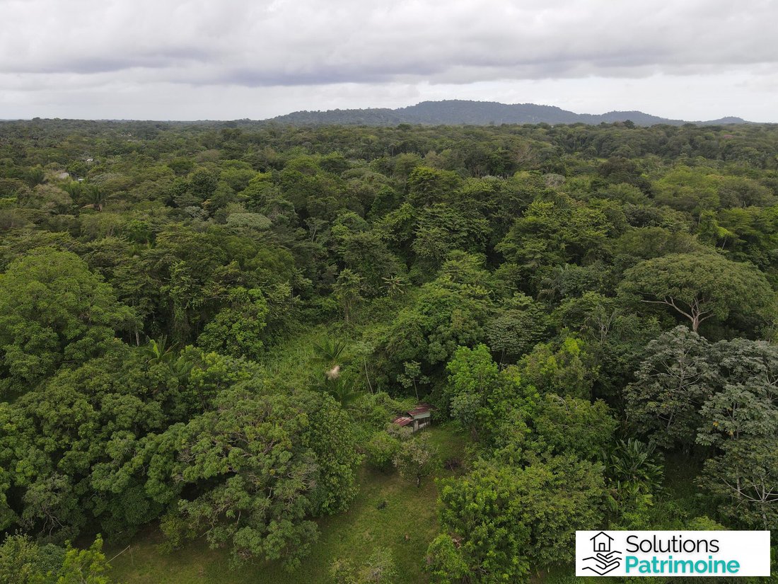 Land in Matoury, Arrondissement of Cayenne, French Guiana 2 - 17057218