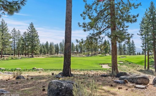 Land in Genoa, Nevada, United States 1