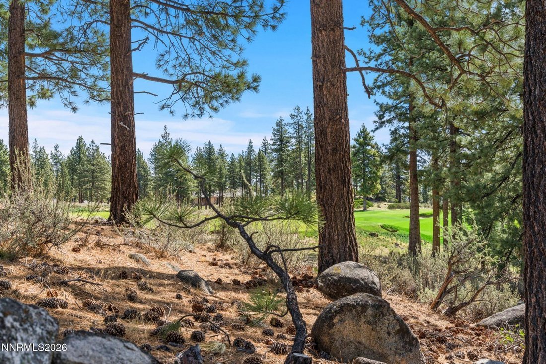 Land in Genoa, Nevada, United States 4 - 17545263