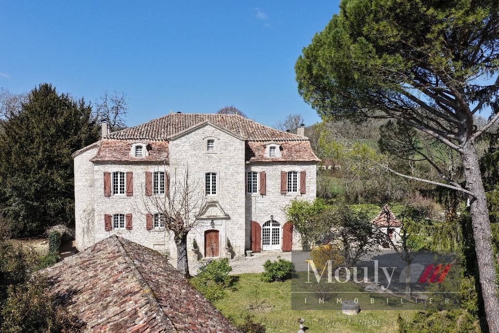 Castle in Montcuq-en-Quercy-Blanc, Occitania, France 4 - 16608282