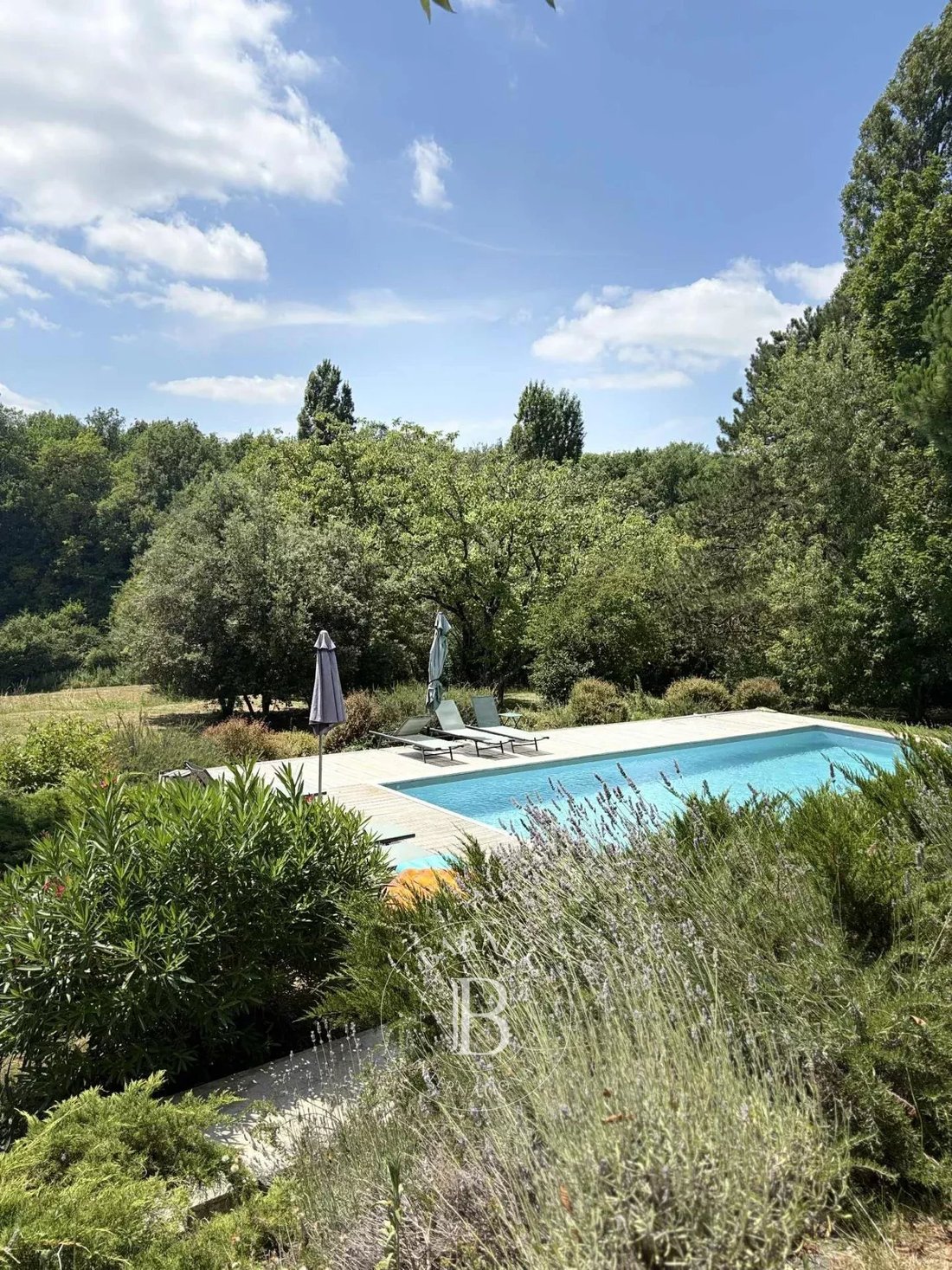 Tenuta a Moulidars, Nuova Aquitania, Francia 4 - 16158877