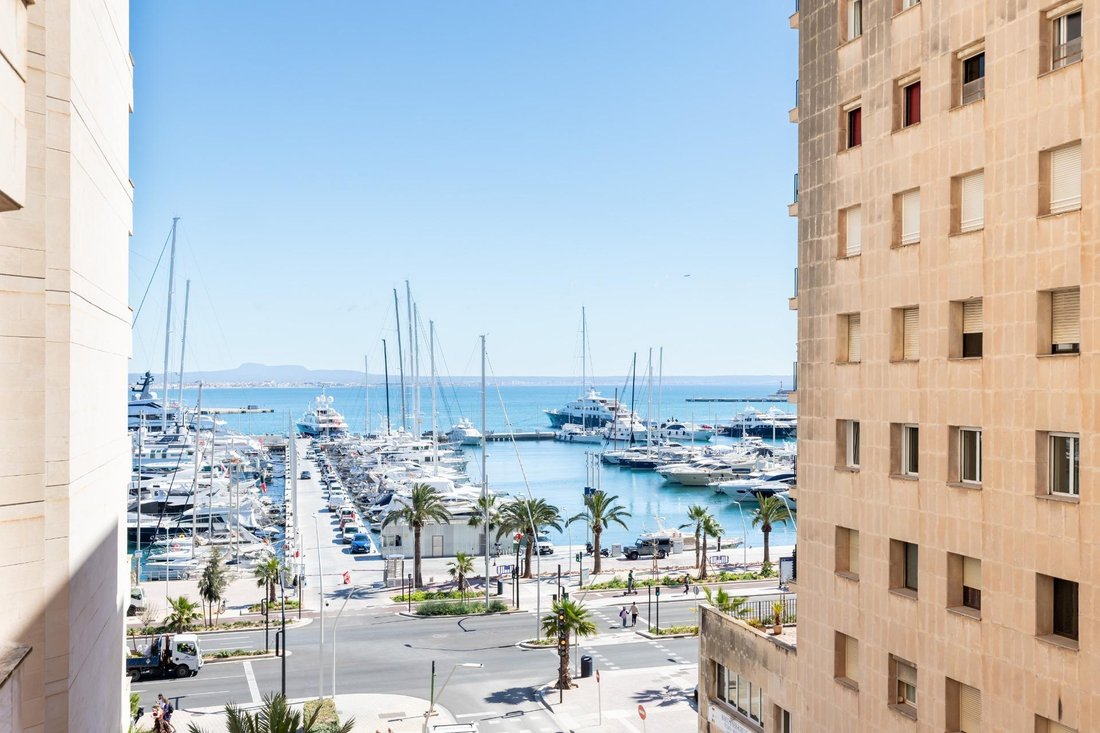 Apartment in Palma, Balearic Islands, Spain 1 - 17546305