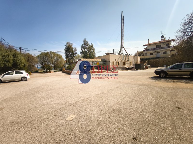 Chios, Aegean, Greece 5 - 17546707