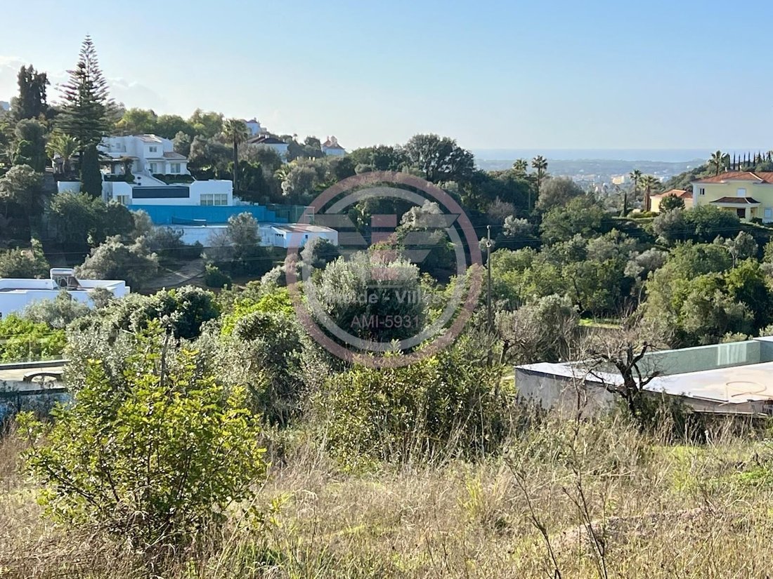 Loule (Sao Clemente), Algarve, Portugal 1 - 16895256