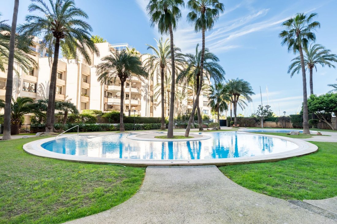 Apartment in Palma, Balearic Islands, Spain 4 - 17546305