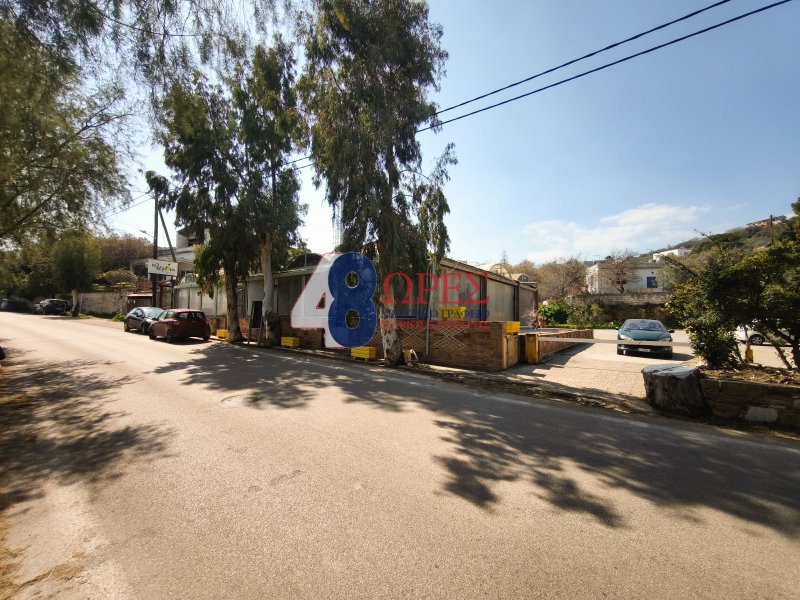 Chios, Aegean, Greece 3 - 17546707