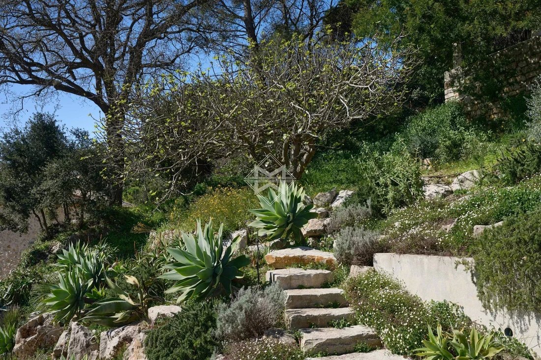 Villa in Mougins, Provence-Alpes-Côte d'Azur, France 3 - 11662772