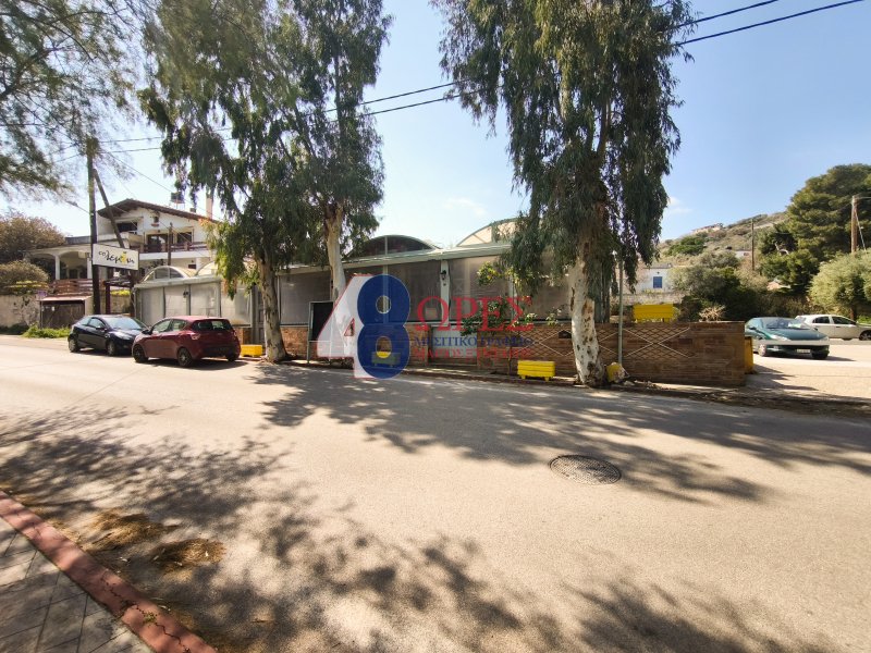Chios, Aegean, Greece 4 - 17546707