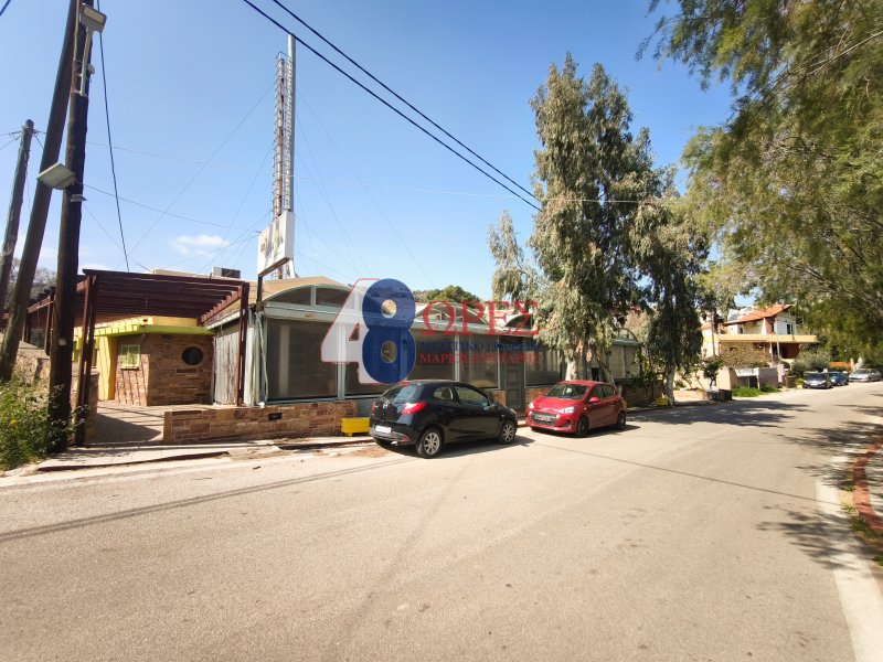 Chios, Aegean, Greece 1 - 17546707