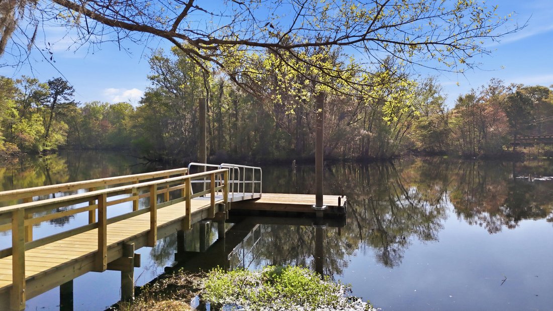 Land in Yemassee, South Carolina, United States 5 - 17546061