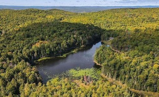 Terreno a Farrellton, Québec, Canada 1