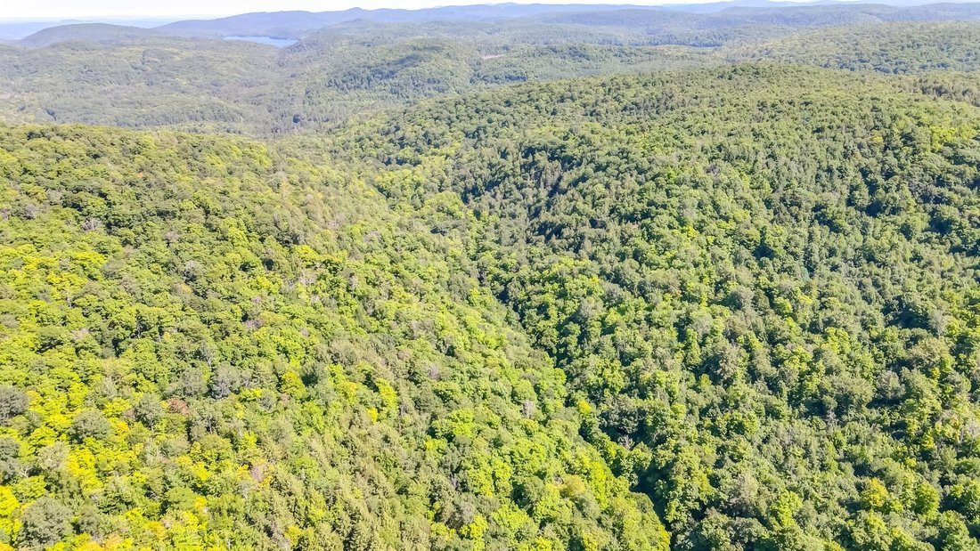 Land in Farrellton, Quebec, Canada 3 - 17547579