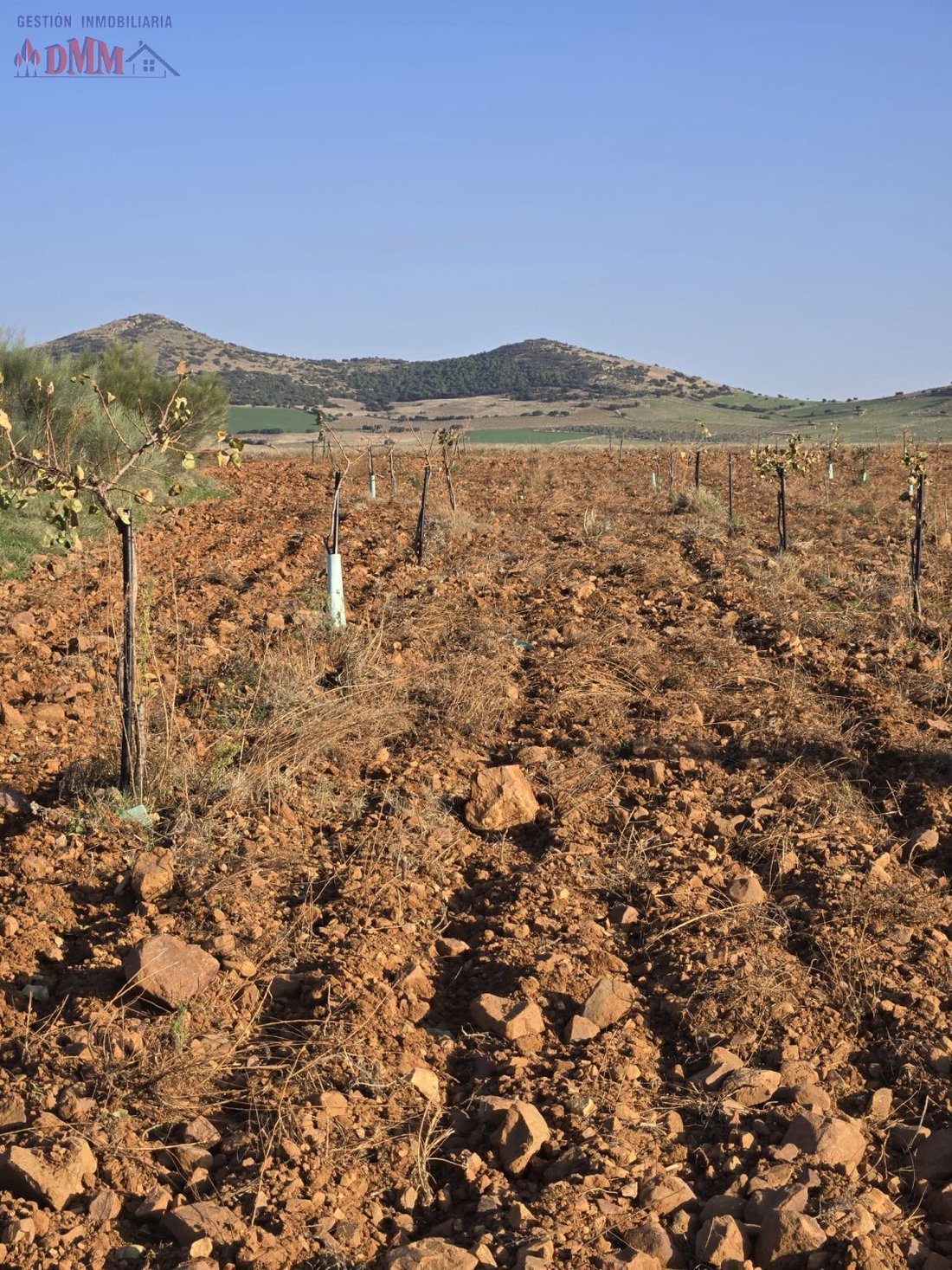 Farm Ranch in Malagon, Castile-La Mancha, Spain 1 - 17547504