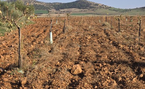 Farm Ranch in Malagón, Kastilien-La Mancha, Spanien 1