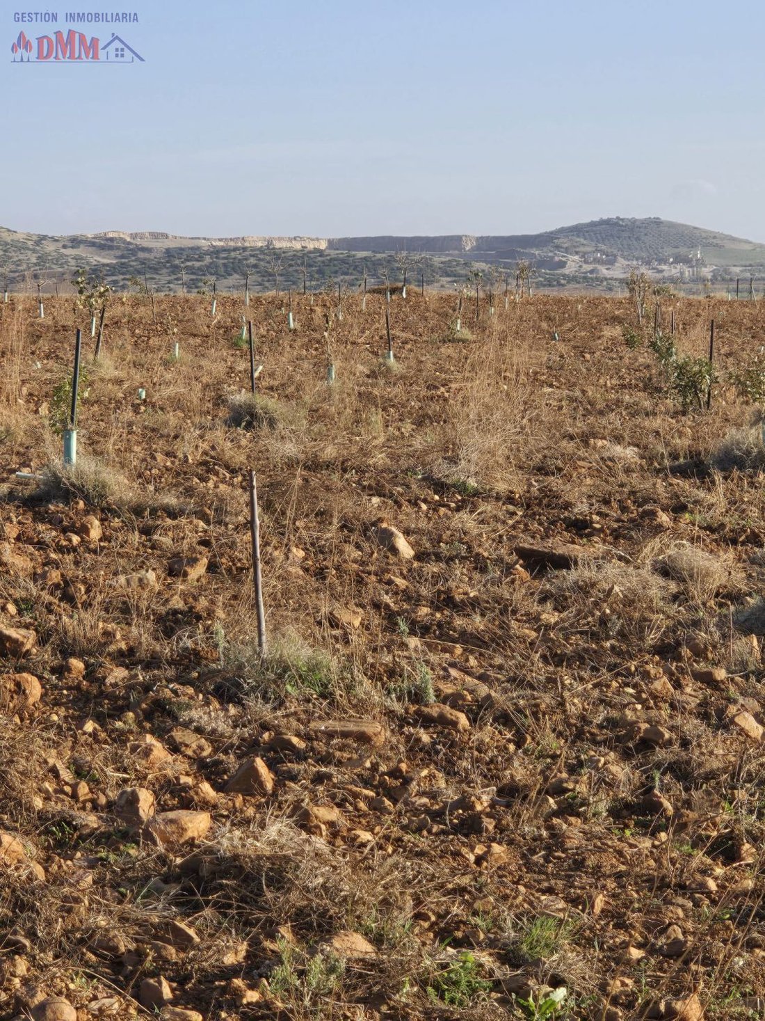 Farm Ranch in Malagon, Castile-La Mancha, Spain 4 - 17547504