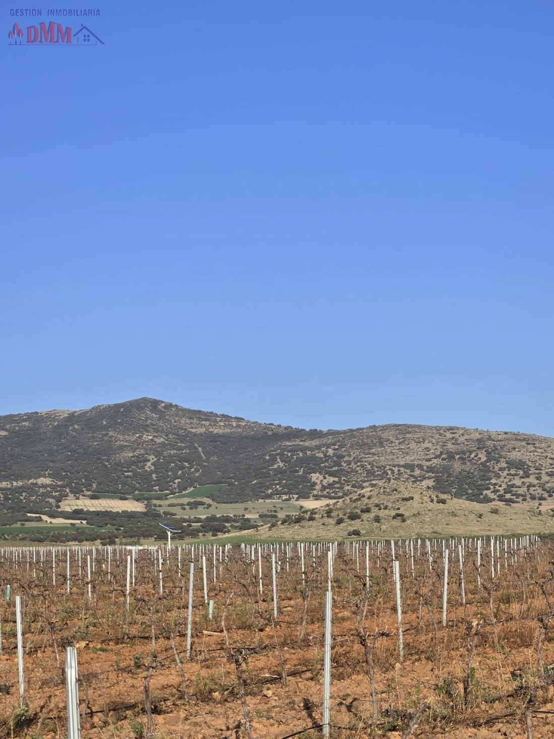 Farm Ranch in Malagon, Castile-La Mancha, Spain 3 - 17547504