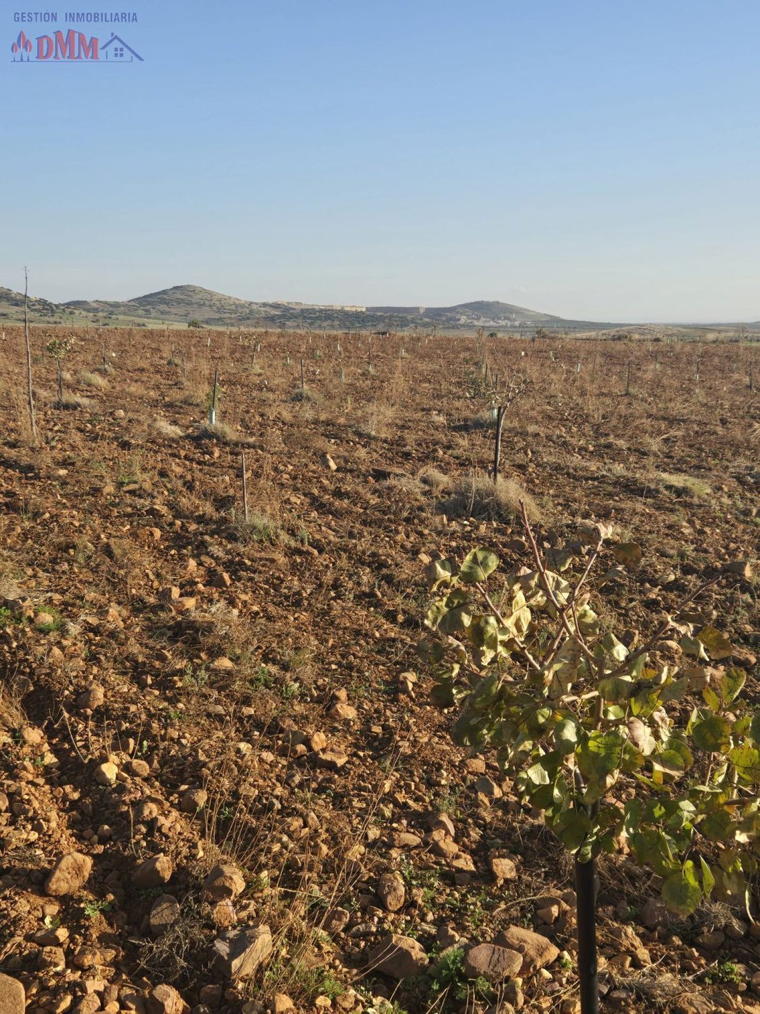 Farm Ranch in Malagon, Castile-La Mancha, Spain 5 - 17547504