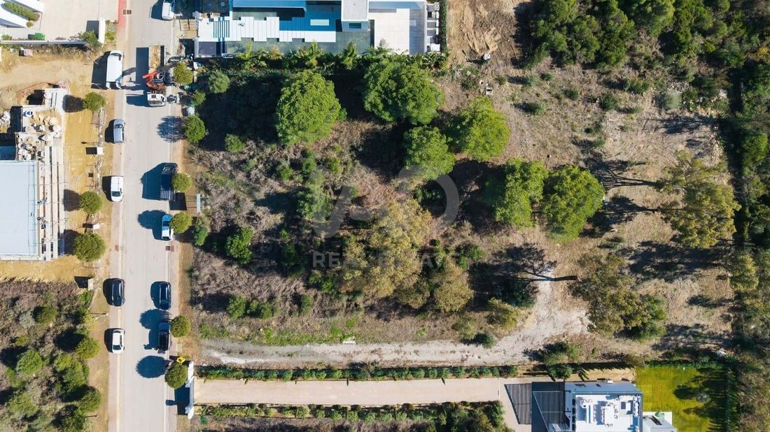 Land in Sotogrande, San Roque, Andalusia 4 - 17547811