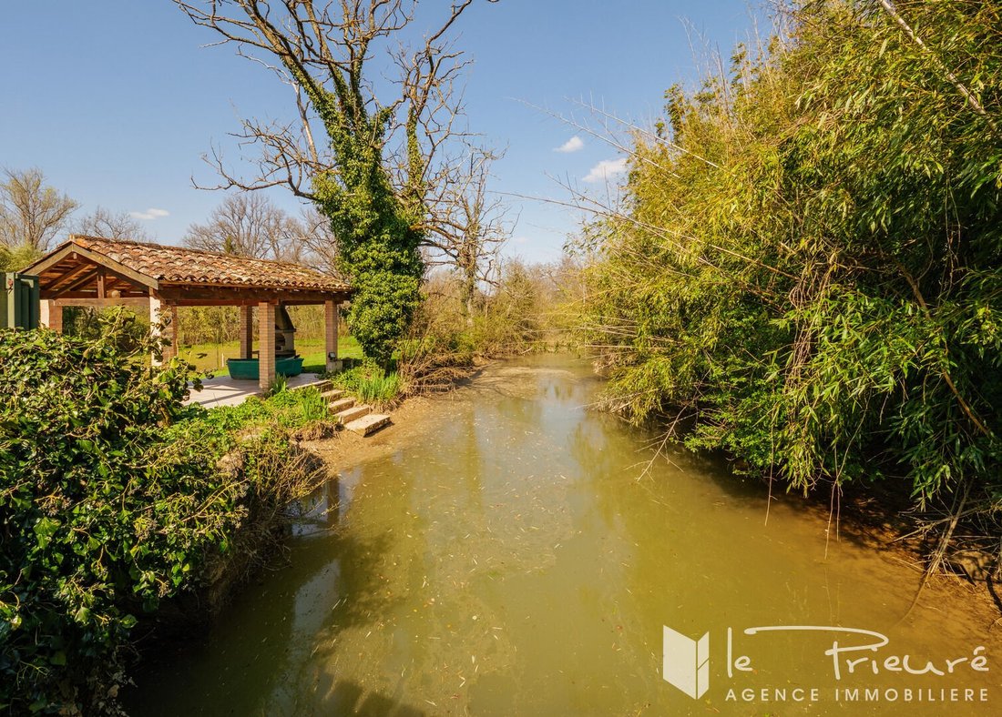 Villa in Lautrec, Occitania, France 5 - 17547796