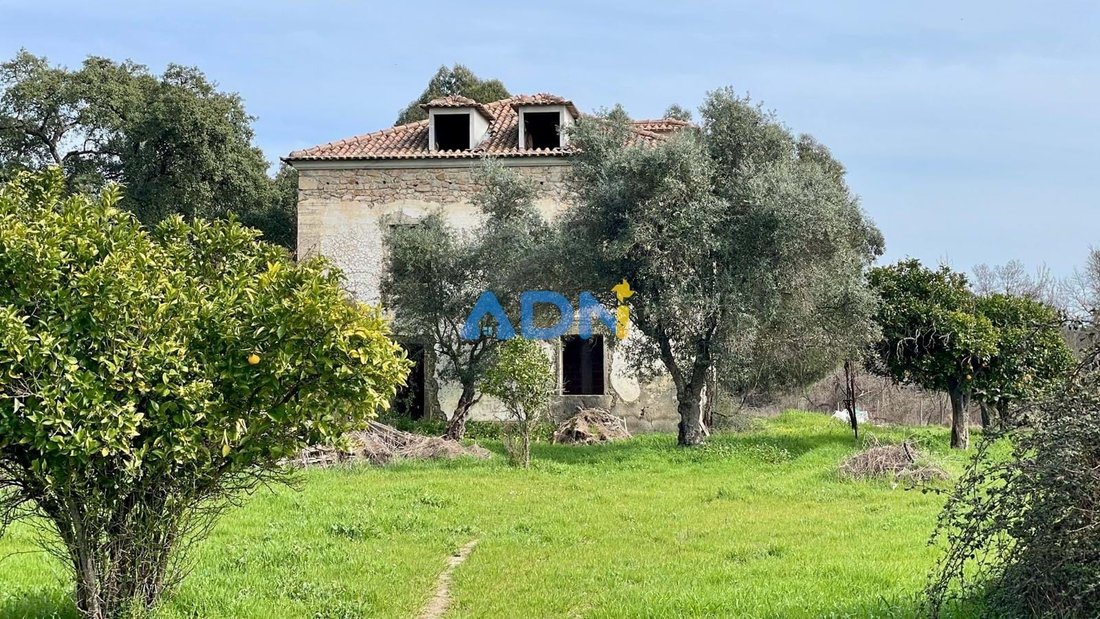 Farm Ranch in Medelim, Castelo Branco District, Portugal 1 - 17547760
